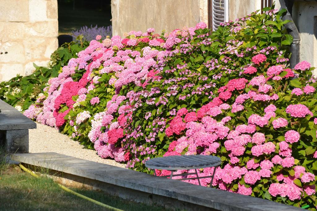 La Maison Du Potager De Mazieres Sainte-Solange Kültér fotó